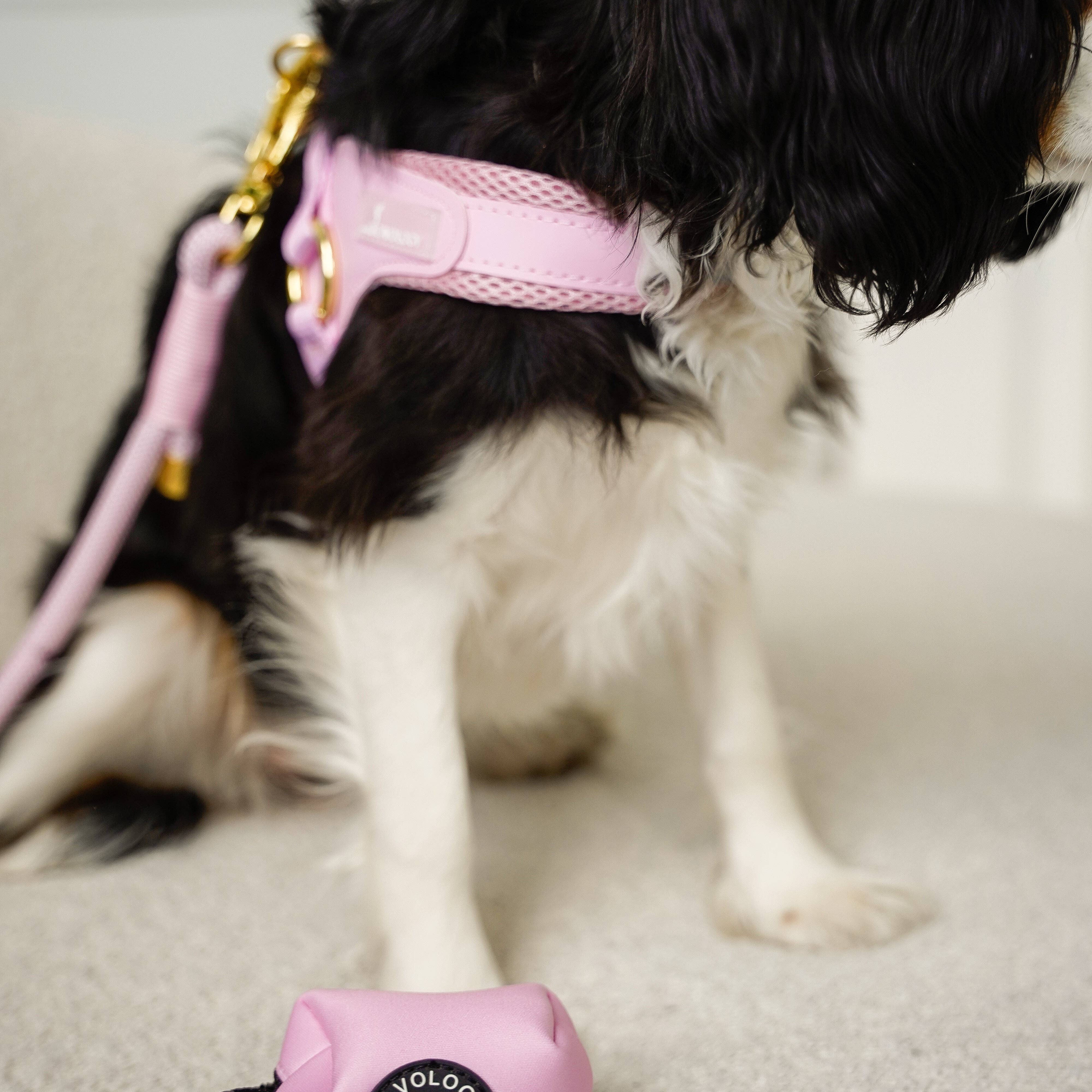 Cavology - Wholesale Pet Harness - Dog - DOG HARNESS EASY-O STEP IN HARNESS - Pink4