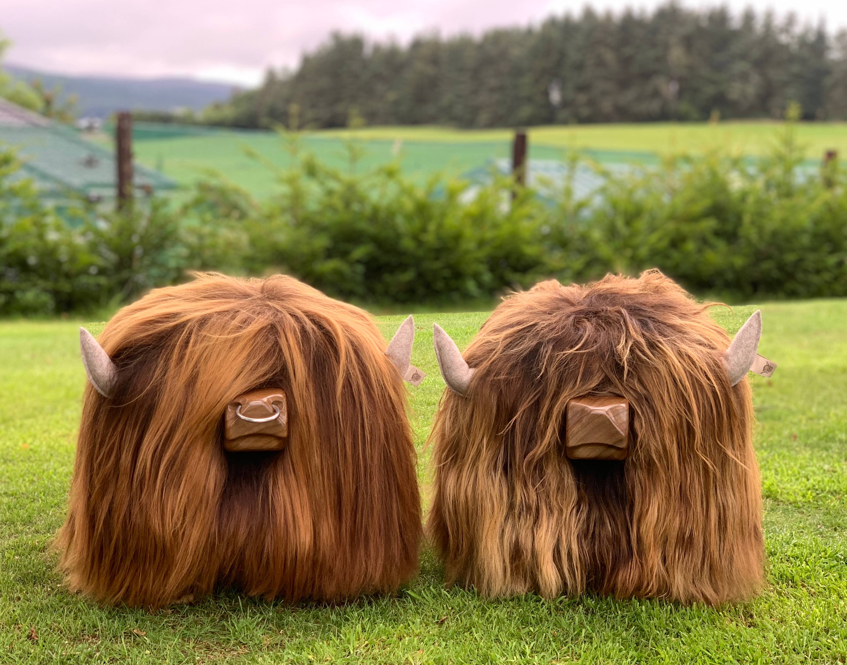 Tweed yourself - Vente Tabouret - Repose-pieds Highland Bull - CHESTNUT + anneau de nez7