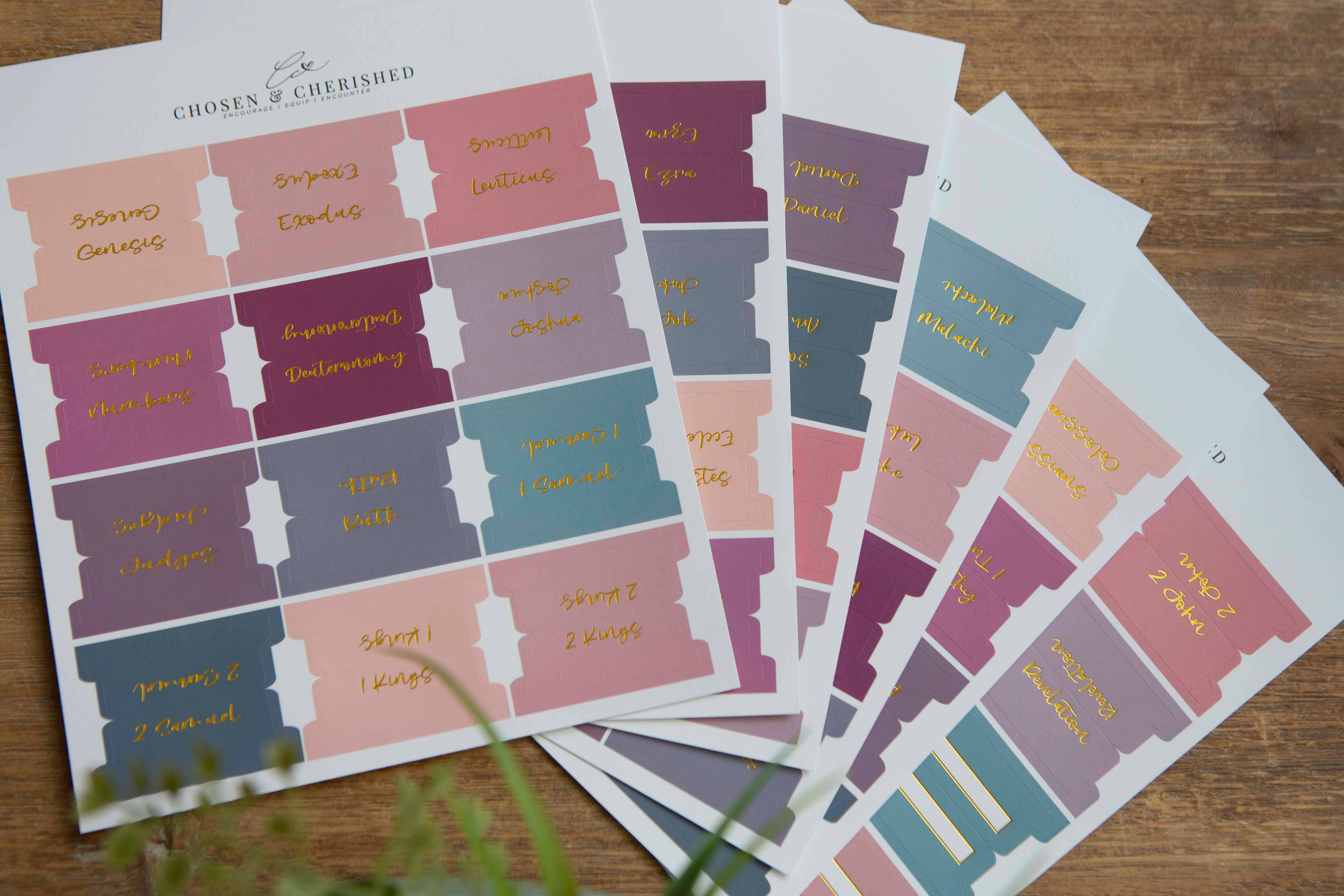 Chosen & Cherished - Wholesale Bookmark - Ombre Bible Index Tabs | Colorful Bible Tabs6