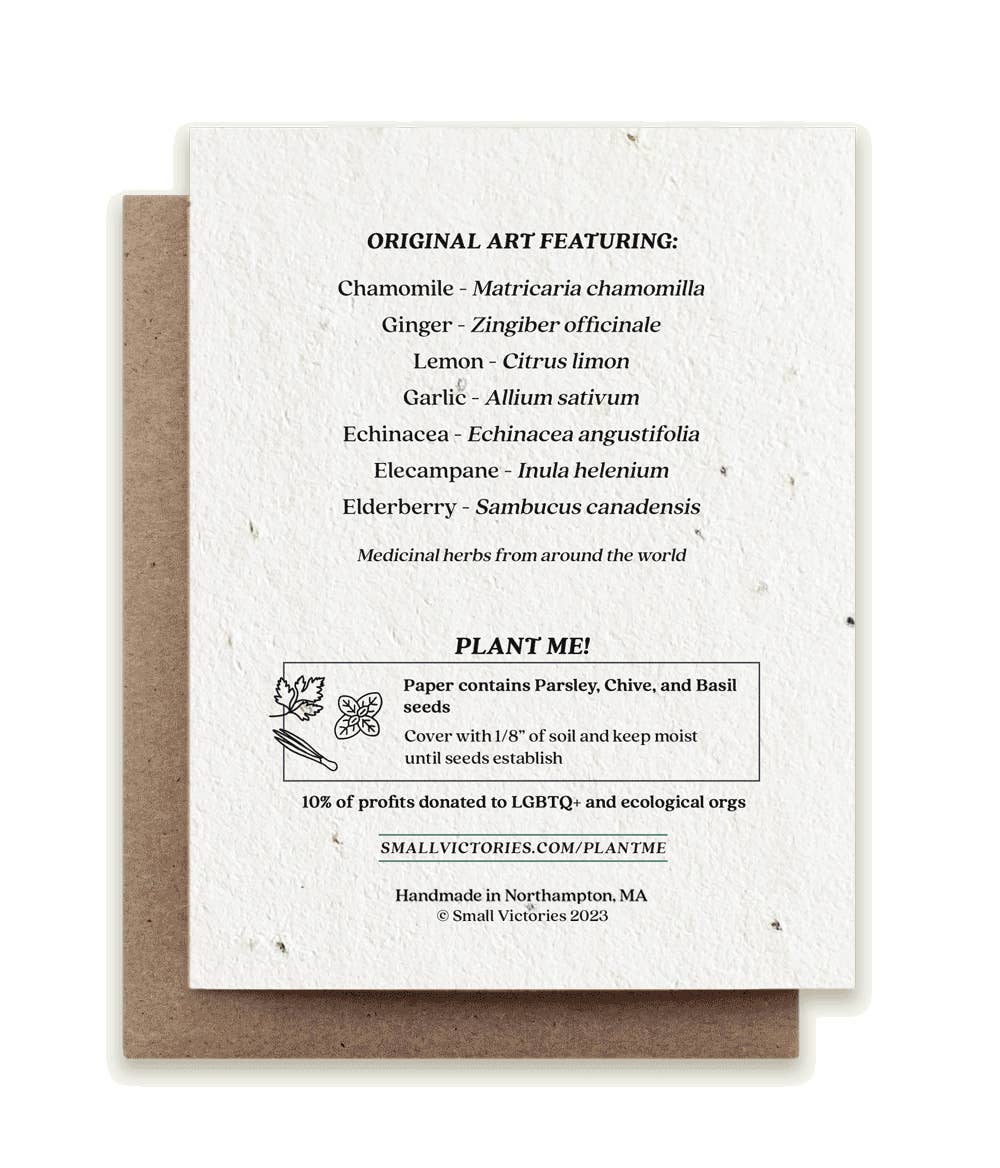 Small Victories - Vendita all'ingrosso Biglietti di auguri di pronta guarigione - Biglietto per semi di erbe aromatiche piantabili Get Well1