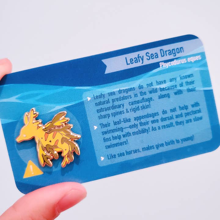 Informative Enamel Pin: Leafy Sea Dragon for wholesale by Umvvelt LLC