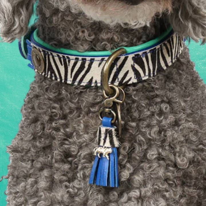 Dandy dog collar for wholesale by Dog with a Mission