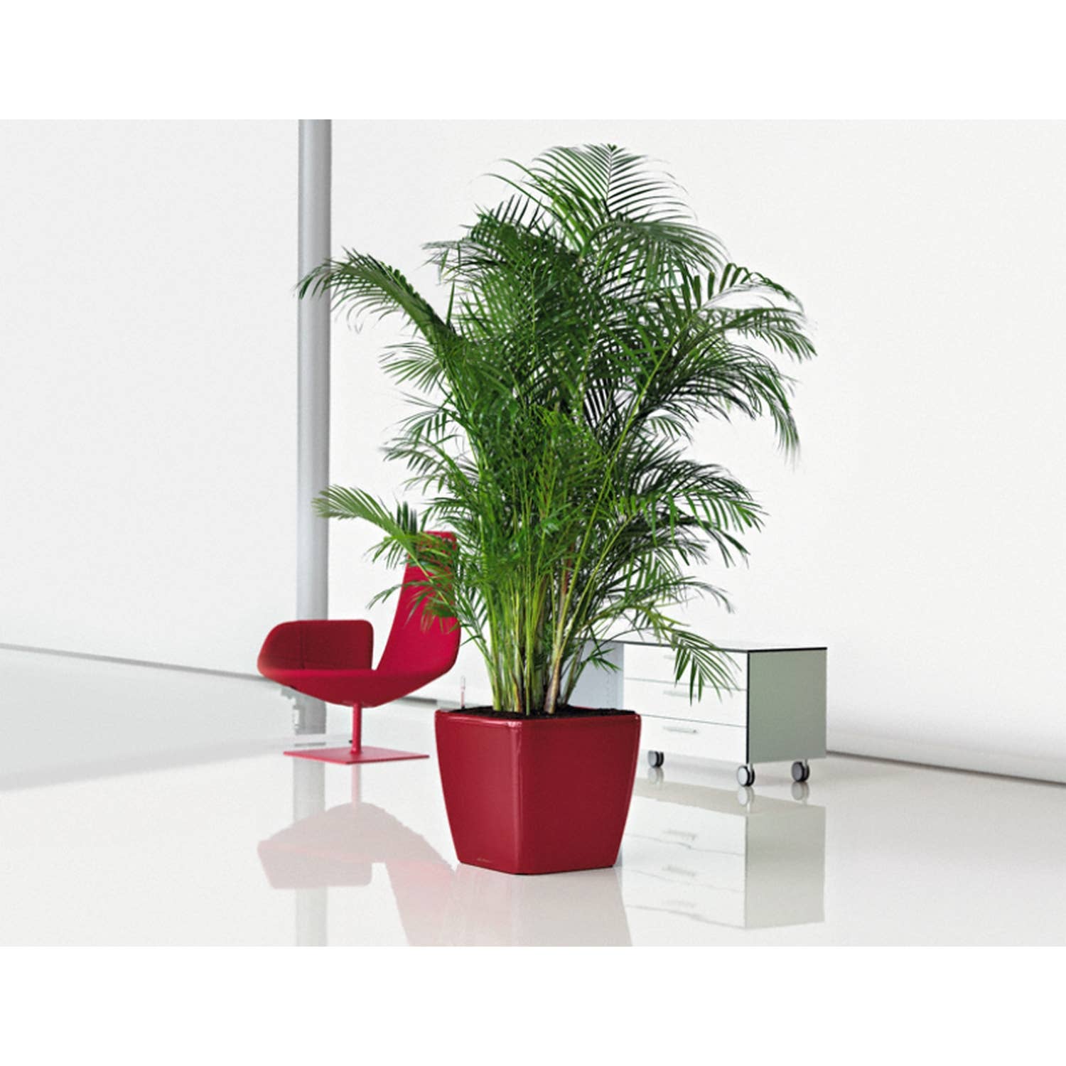 Lechuza Self Watering Planters - Vendita all'ingrosso Vasi per piante - Fioriera quadrata LECHUZA QUADRO LS Poly Resin19