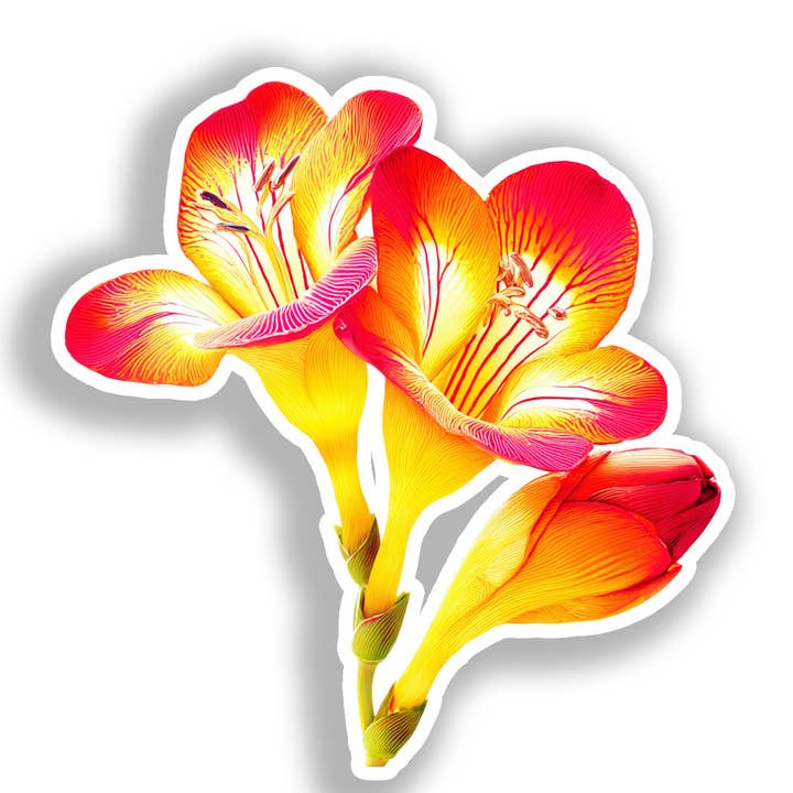 Freesia Flower Decal Sticker # A019638 for wholesale by Yoonek Graphics