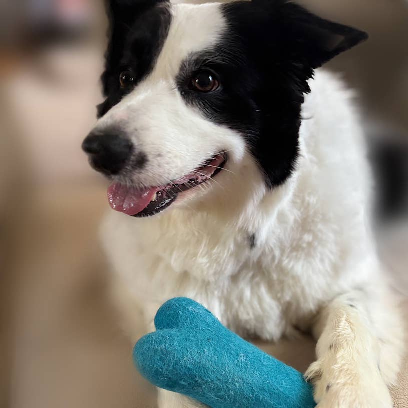 Ethical Global - Wholesale Pet Chew Toy - Dog - Eco Wool Dog Bones/Toys: Fun Colors (Fair Trade)9