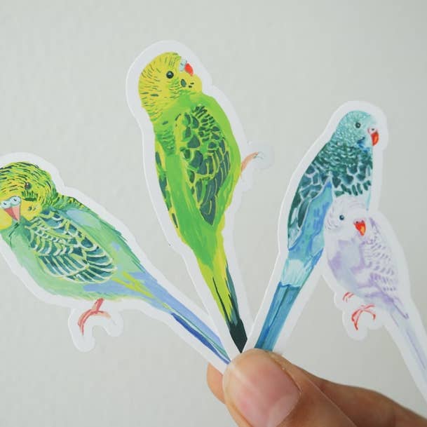 parakeet budgie vinyl matte stickers - 3x2" weatherproof decal - high quality - hand-painted watercolor gouache design for wholesale by Stephanie Missan Studio
