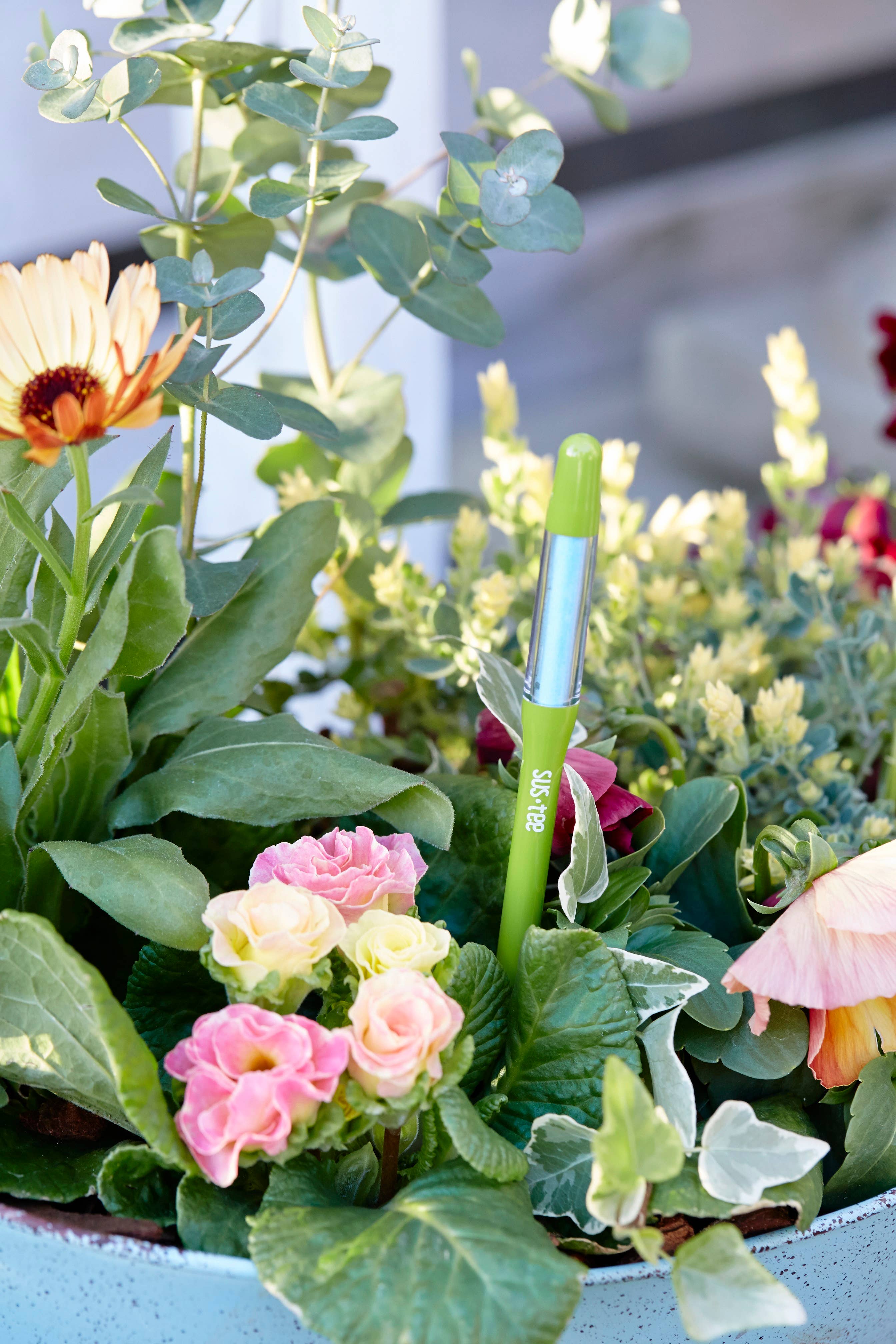 SUStee - Wholesale Garden Tool - SUStee Single Pack Medium Green4