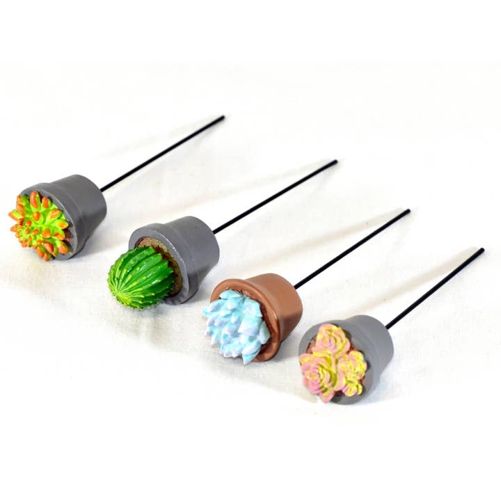 G & F Products - Vente Succulentes - Jardin Miniature Succulent, 4 pc7