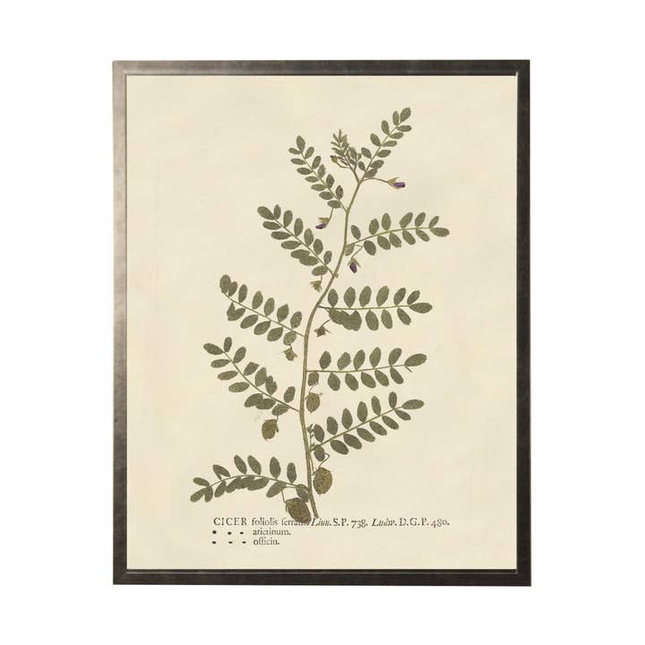 Vintage Neutral Flower Art On Ivory Background for wholesale by Antique Curiosities Inc