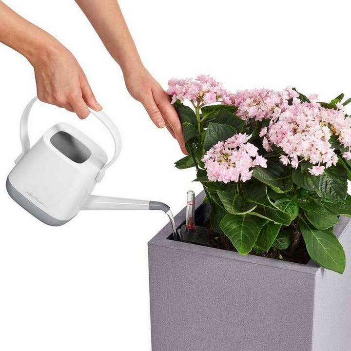 Lechuza Self Watering Planters - Vente Jardinière - LECHUZA CANTO Stone haut - grand pot de sol en résine poly haute qualité12