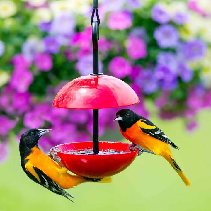 Mosaic Birds Double Hanging Poppy Feeder Ruby Red for wholesale by Couronne Co.