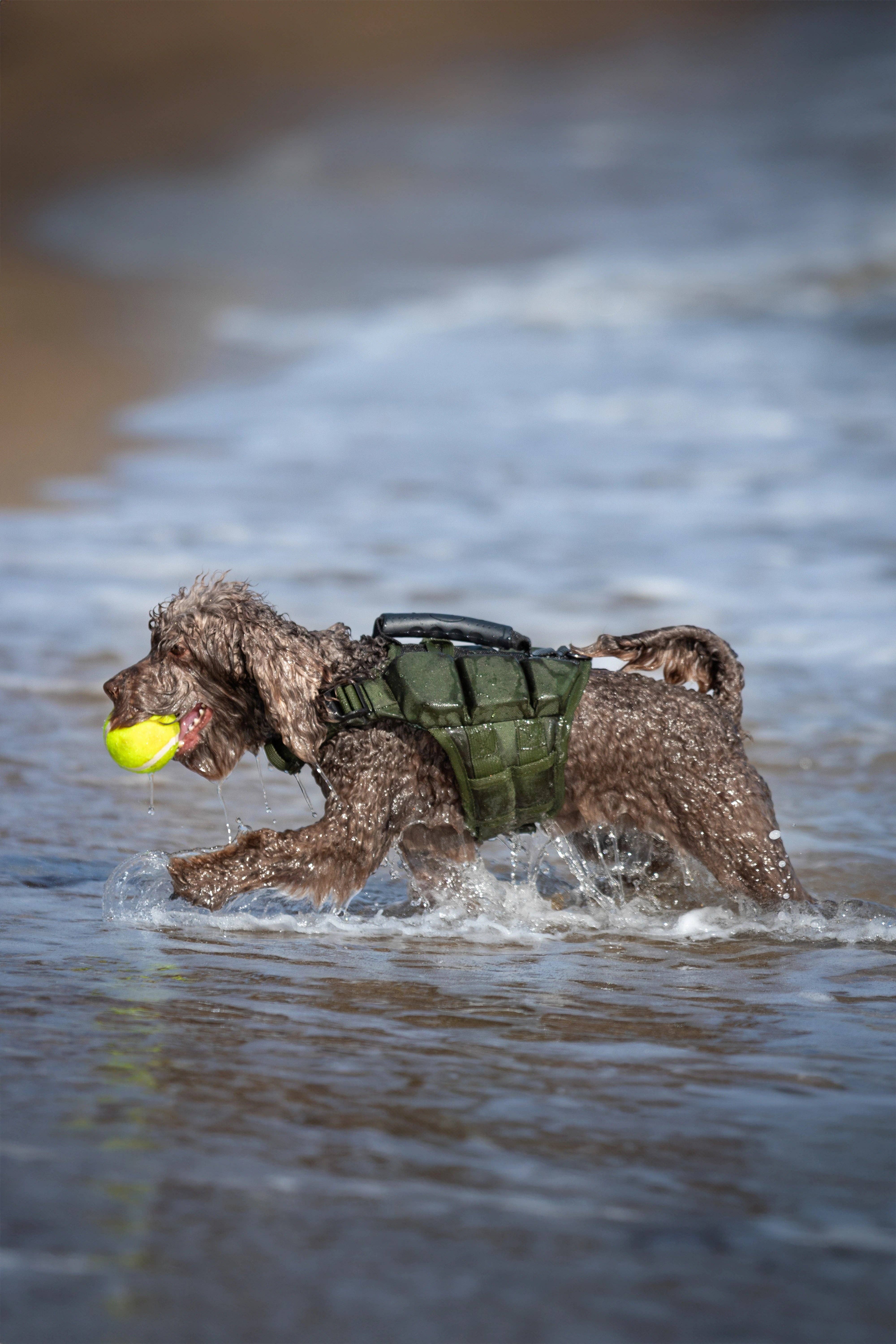 NOAH AND PAW LLC - Vendita all'ingrosso Giacca - Cani - Salvagente per cane Human Standards con supporto in schiuma 3x massimo galleggiamento - Verde5