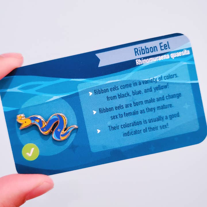 Informative Enamel Pin: Ribbon Eel for wholesale by Umvvelt LLC