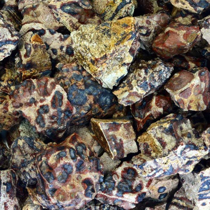 Fantasia Mining - Wholesale Spiritual Stone/Crystal - Rough Animal Jasper- Mexico - Raw Natural Stones (1 lb)