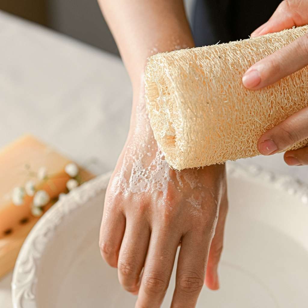 Jungle Culture - Wholesale Loofah - Natural Loofah | Organic Exfoliating Sponge Pad Scrubber2