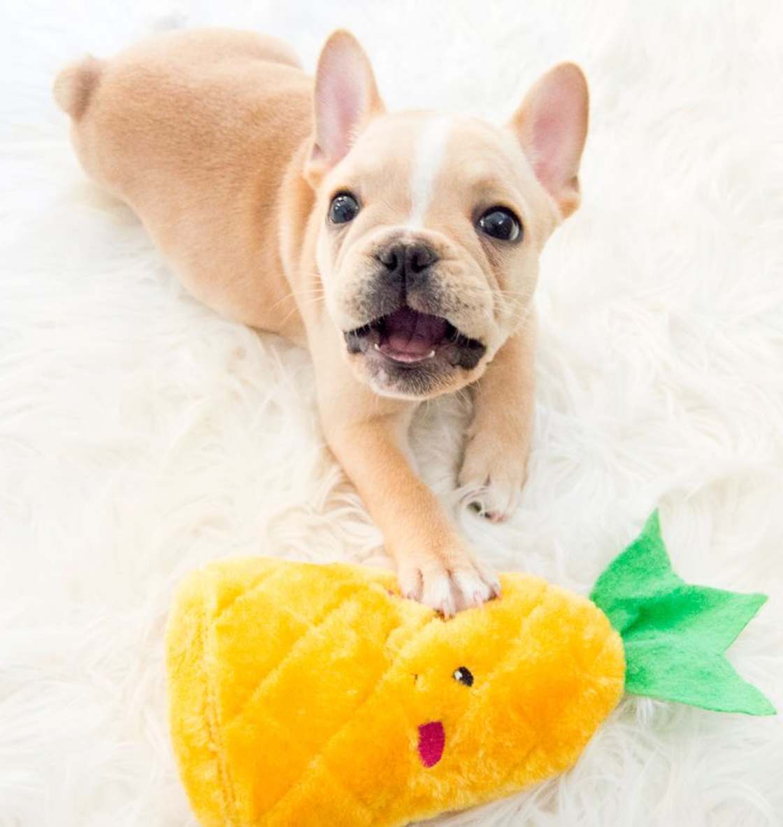 ZippyPaws - Vente Peluche – chien - NomNomz® - Pineapple - Jouet pour chien7