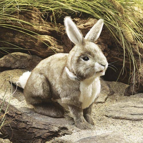 FOLKMANIS-PUPPETS – Großhandel Kuschel-/Plüschtier – Kind & Baby – Baumwollschwanz-Kaninchen 2891/ Rabbit, Cottontail
