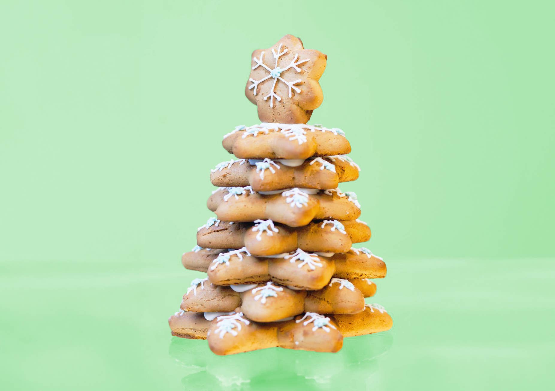 Treat Kitchen - Wholesale Biscuit - Gingerbread Christmas Tree Kit1