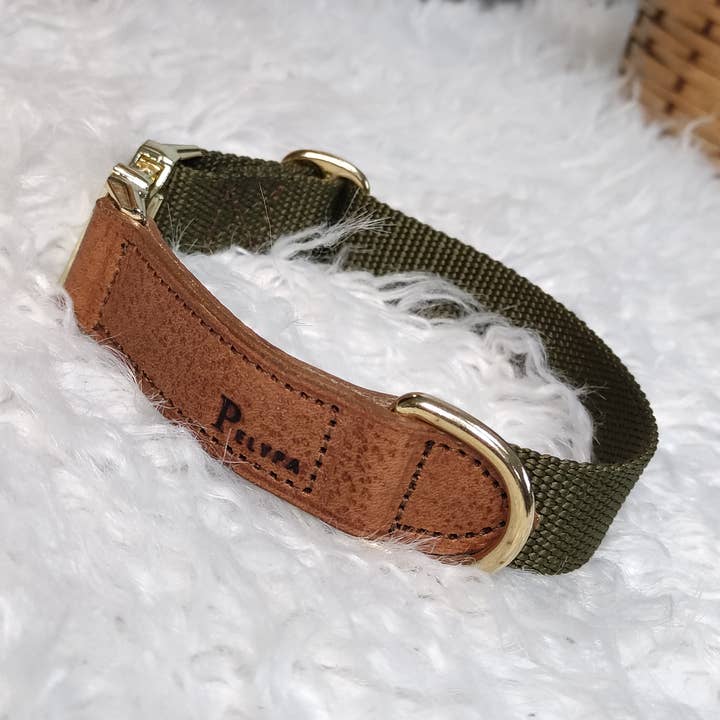 Collar AKHAL para venta al por mayor de Pelypa