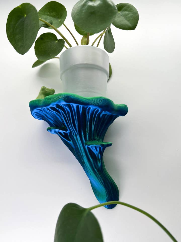 Floating Oyster Mushroom Wall Shelf for wholesale by Roomberry