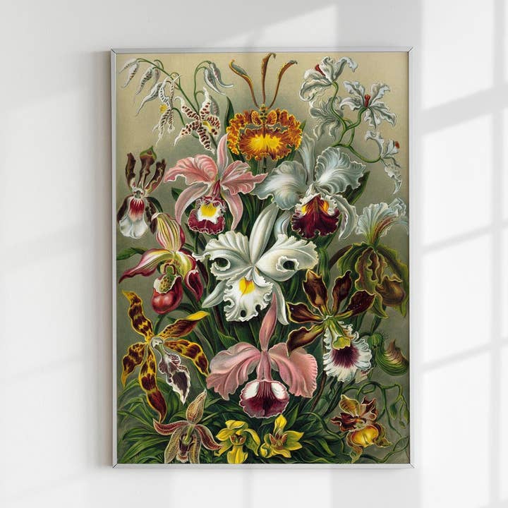 Affiche "Fleurs d'Orchidées et de Lys" par Ernst Haeckel pour la vente par Patroa Studio