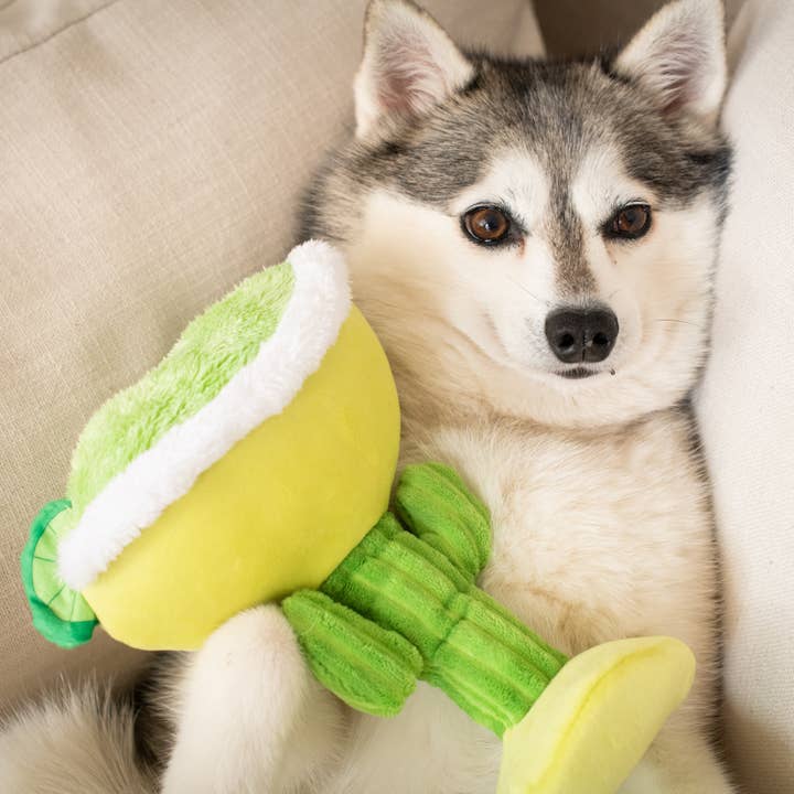 Huxley & Kent - Wholesale Pet Plush Toy - Dog - Margarita Loco Dog Toy
