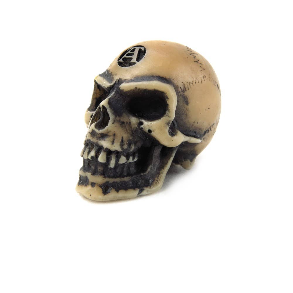 Alchemy Of England (Alchemy USA Distributor) - Wholesale Ornament - Lapillus Worry Skull (Table Ornament)