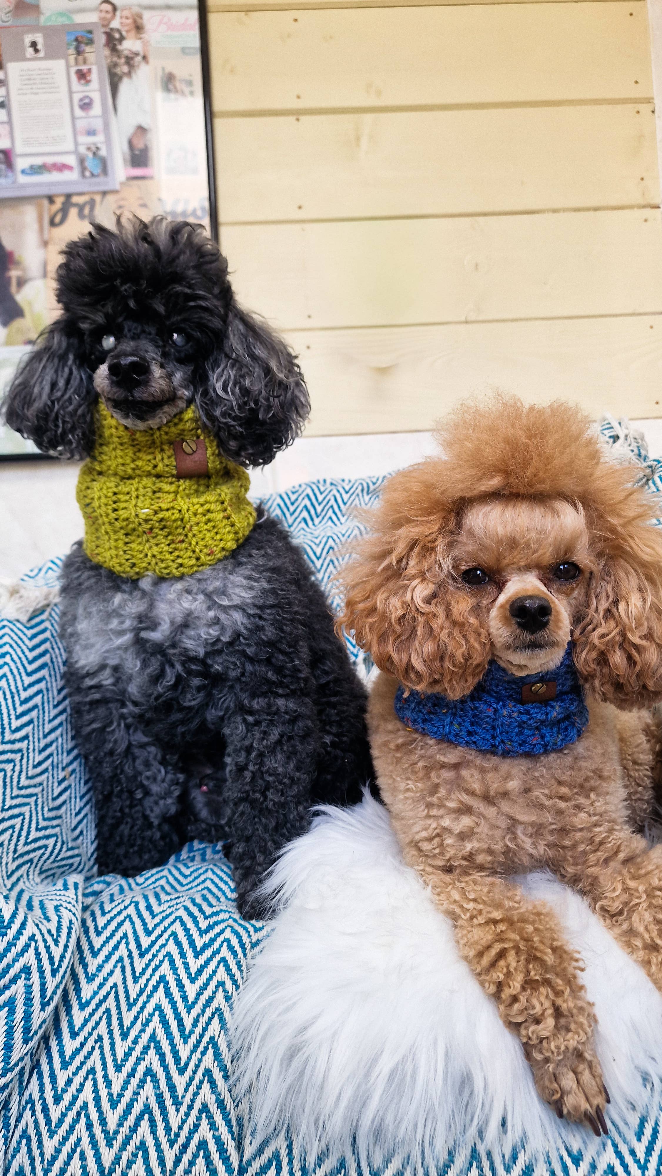 Pet Pooch Boutique - Wholesale Pet snood – Dog - Maple Cookie Roll Top Dog Knitted Snood- UK made/autumn3