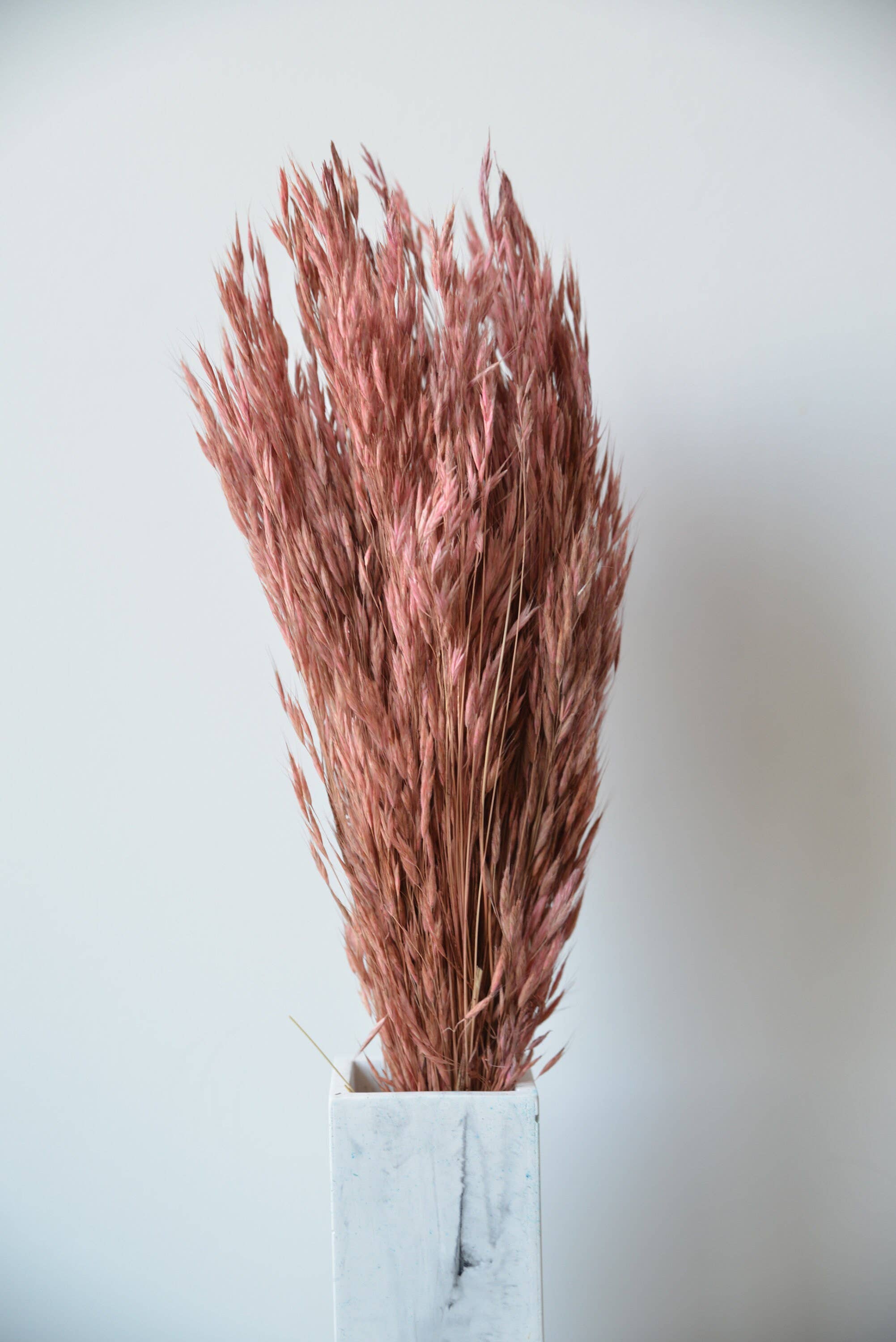 MY BOUQUETS - Vendita all'ingrosso Fiori secchi/pressati - Mazzo di pennacchio essiccato, rosa marrone, mazzo di avena arancione arrugginito, bouquet di fiori secchi, fiori da sposa, erba per composizioni floreali fai da te1