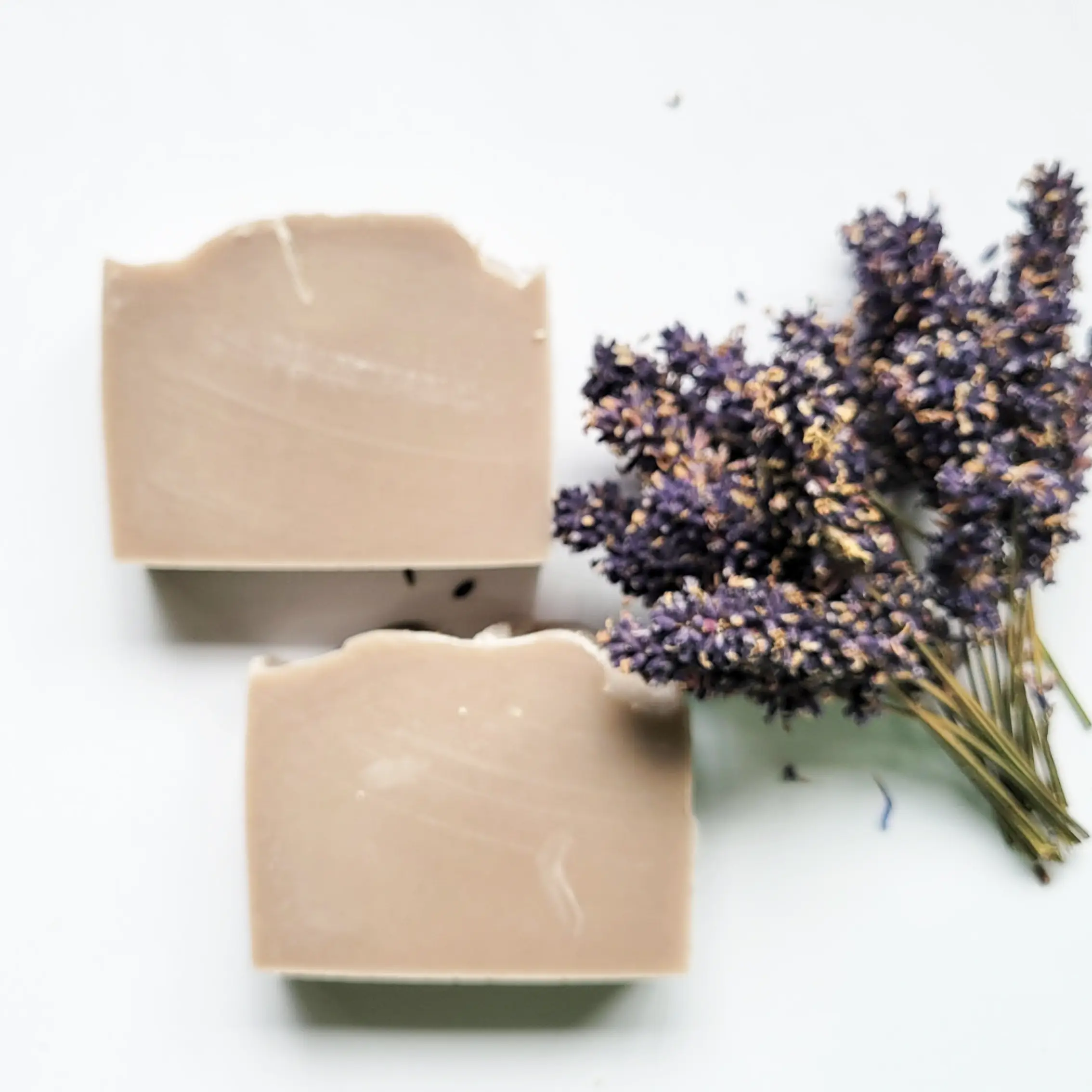 Citrus Tree - Wholesale Bar Soap - Lavender Meadow, Handmade Soap, Coconut Milk, Shea Butter3