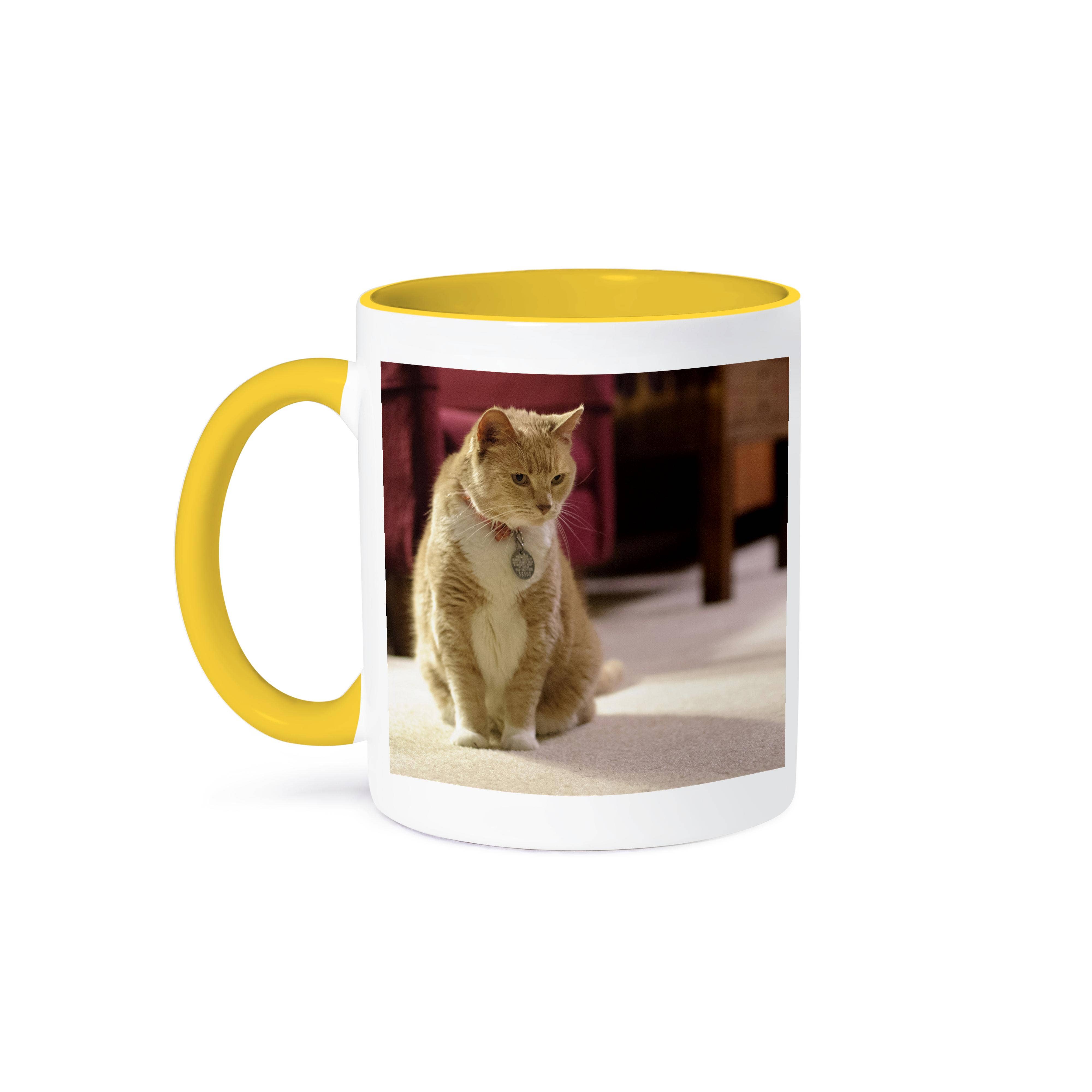 3dRose - Wholesale Coffee Mug - 3dRose, Orange tabby housecat in a living room - NA02 MFR0000 - MFR, Mug0