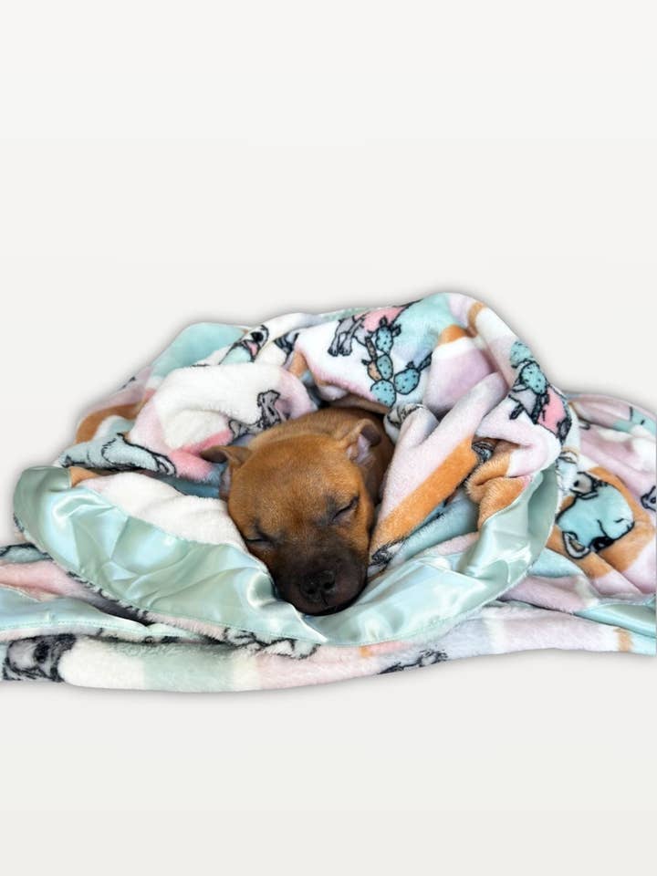 Couverture pour chien Ultra Douce Rescue Ranch, assortie au peignoir pour chien pour la vente par Darren & Phillip