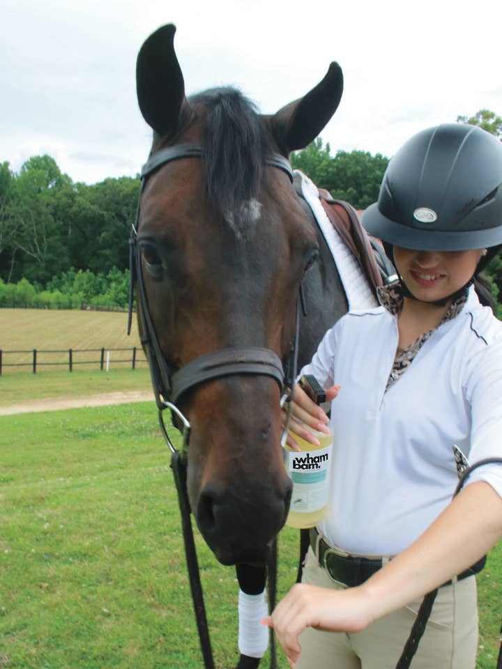 Wham Bam. Un répulsif pour pelage en aérosol (28 oz) pour la vente par The Infused Equestrian