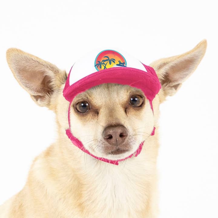 PupLid - Wholesale Pet Hat - Dog - Surfer Dog Standard or Namedrop | Trucker Hat for Dogs50