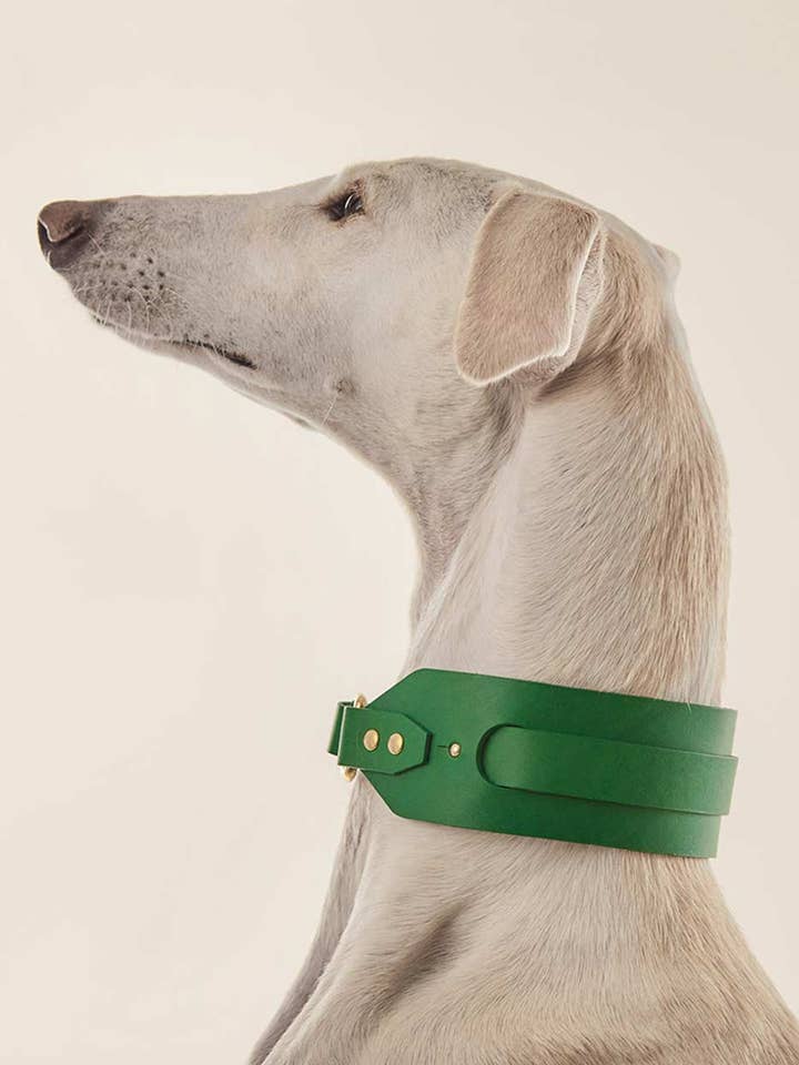 Collar Galgo · Verde para venta al por mayor de INDÓMITO