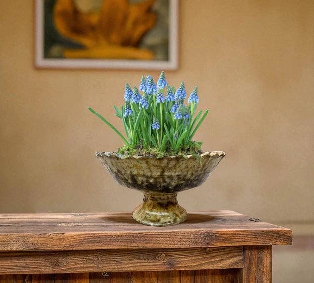 Moroccantastics - Wholesale Decorative Plate/Dish/Bowl - Tamegroute Green Fruit Bowl or Planter – Handmade Moroccan Pottery2