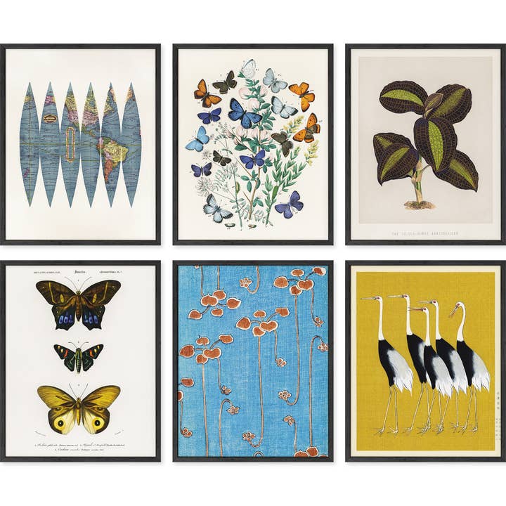 Haus and Hues - Wholesale Gallery Wall Set - Eclectic Set