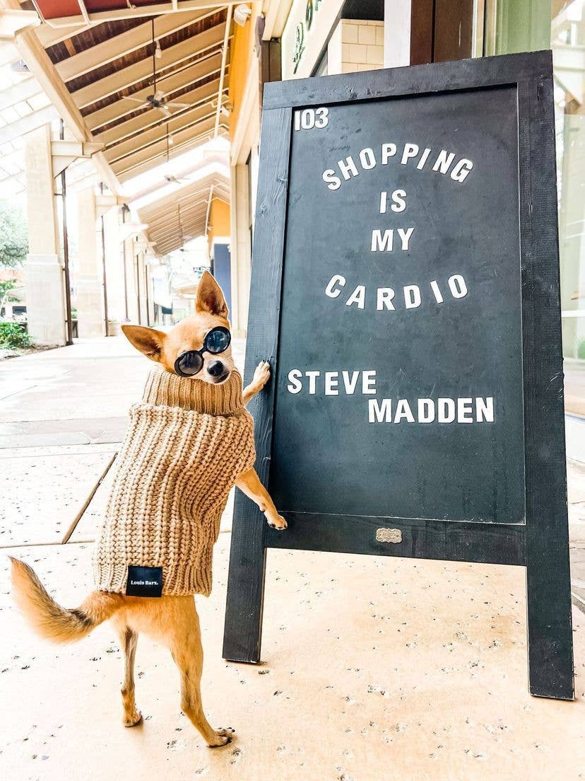 Coca Mocha Suéter para perro 'Adele' con cuello alto de hilo 100 % suave en color marrón de venta al por mayor en Faire1