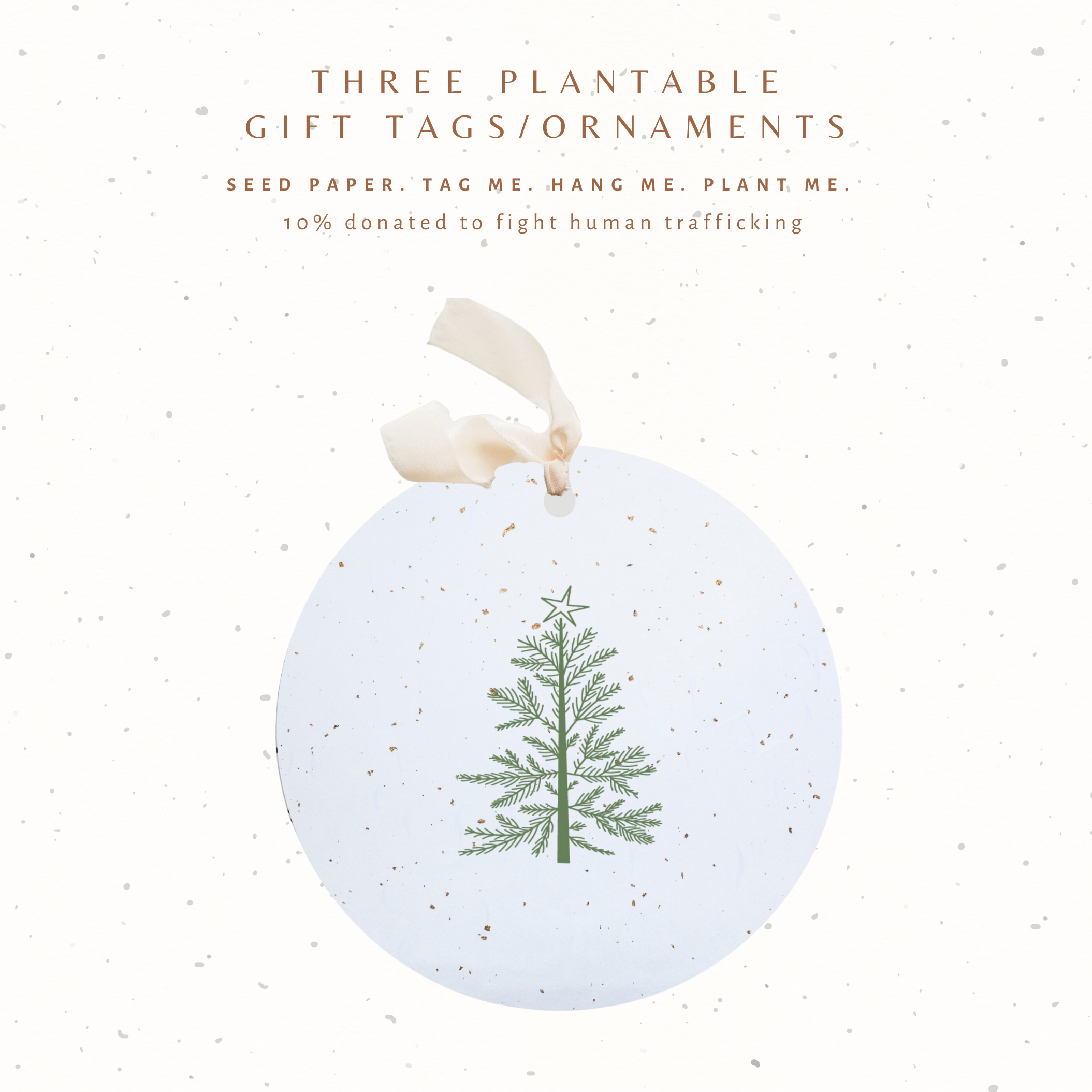 Paper Baristas – wholesale Ornament set – Plantable Seed Gift Tags / Ornaments Set of 3 CHRISTMAS TREE1