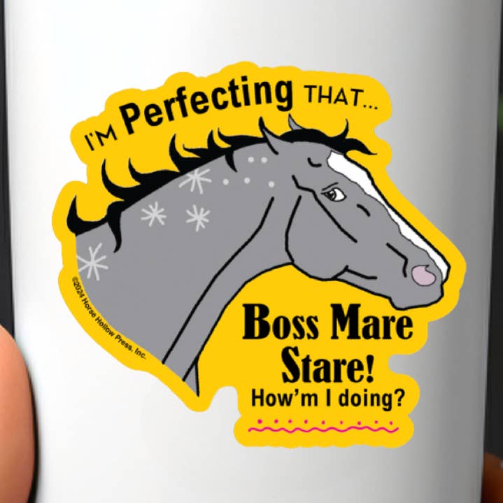 3" Tumbler Horse Sticker / Boss Mare Stare / WATERPROOF for wholesale by Horse Hollow Press