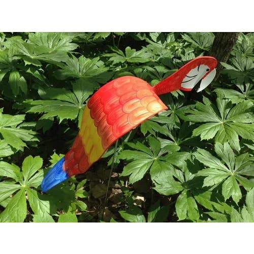 Royal Scarlet Macaw for wholesale by Florida Dancing Birds