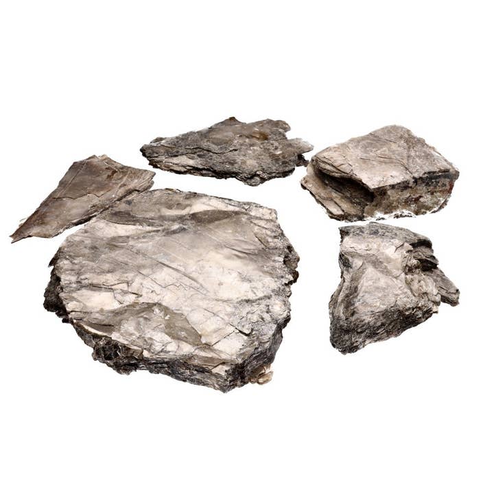 Vives de la Cortada S.L - Wholesale Spiritual Stone/Crystal - Raw Biotite