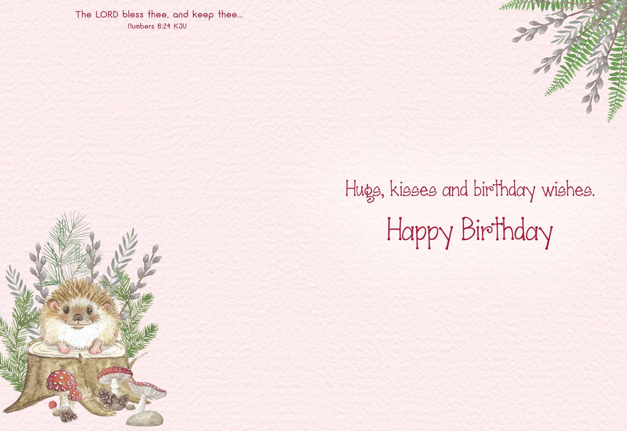 Crown Point Graphics - Wholesale Birthday Card - Celebrations -  48 Assorted Birthday Cards by Shared Blessings39