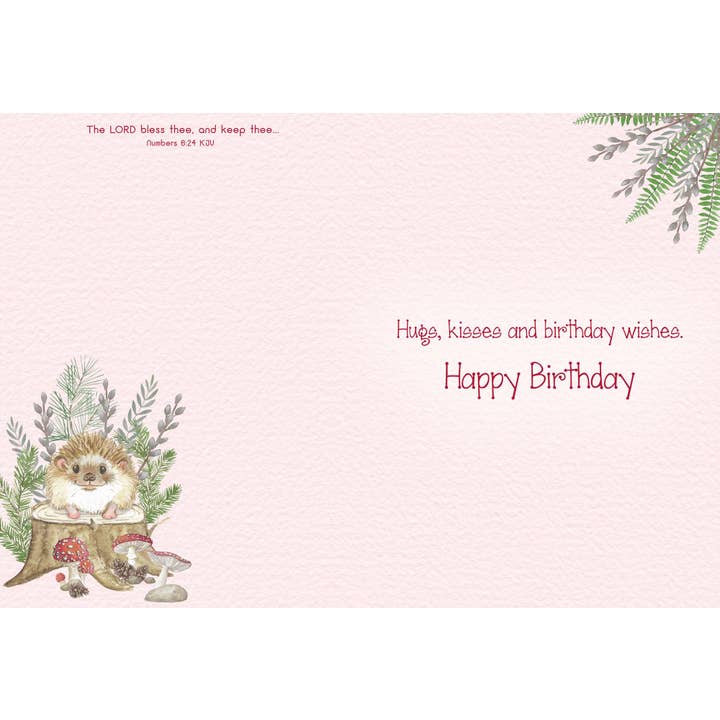 Crown Point Graphics - Wholesale Birthday Card - Celebrations - 48 Assorted Birthday Cards by Shared Blessings39