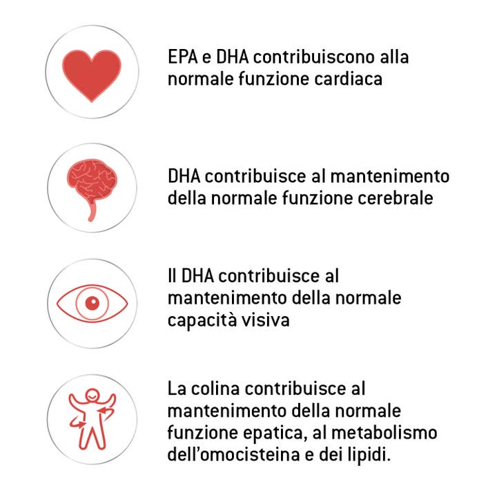 OPTIMA NATURALS - Wholesale Oral Supplement/Vitamin - Antartic Krill® Kidz 30 Gummies7