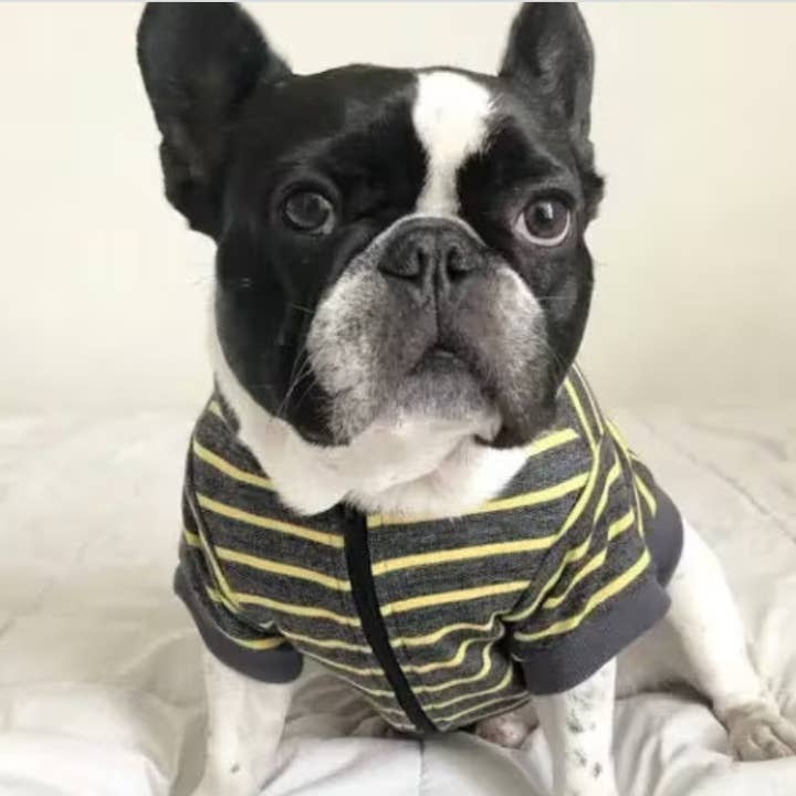 Dog Zip Up Jacket - Grey & Yellow for wholesale by BOSSPUP