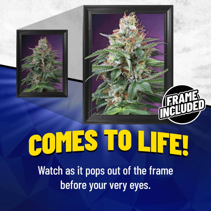 Lentics - Wholesale Poster - Marijuana Weed Plant Framed Poster Print 3D Trippy Art1