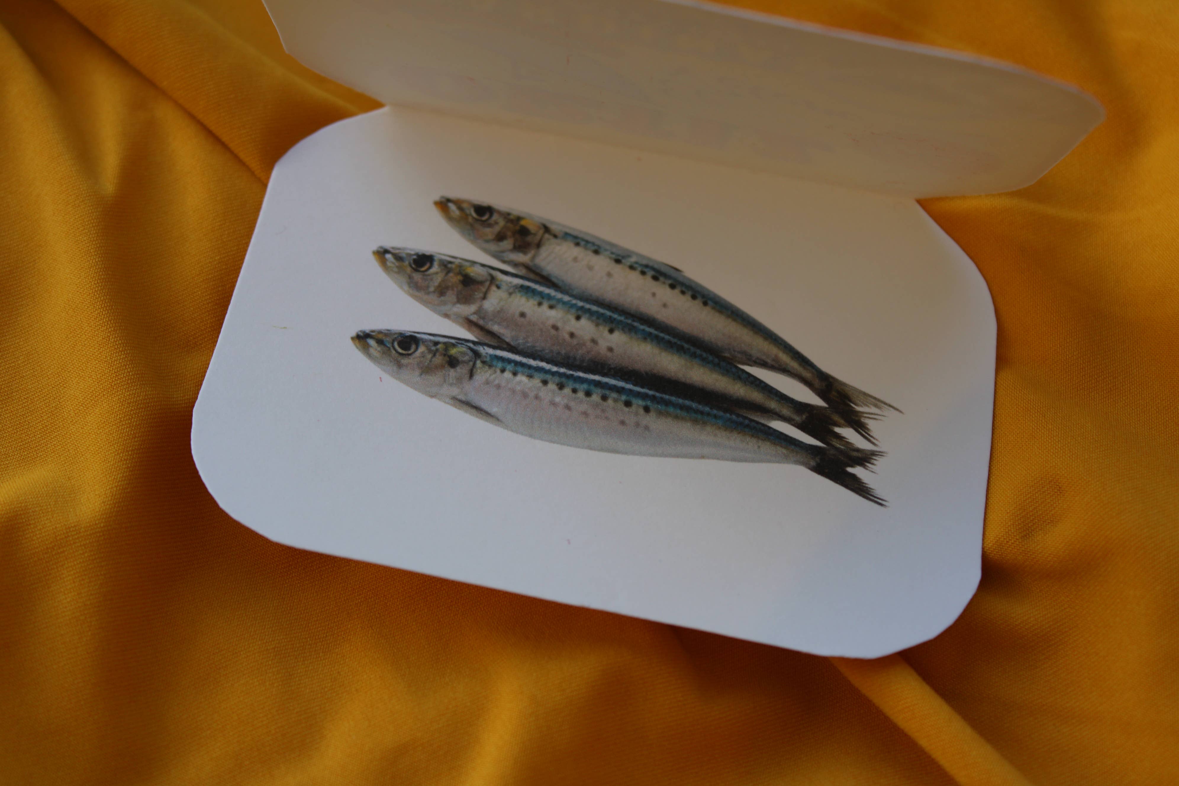 Picnic Date Studio – wholesale Vardagliga hälsningskort – Ortiz Sardin Hälsningskort1