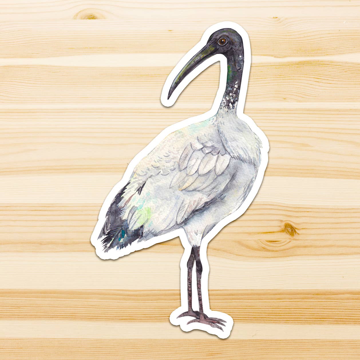 Watercolour By Cat - Vendita all'ingrosso Adesivo - Adesivo in vinile con grande uccello australiano32