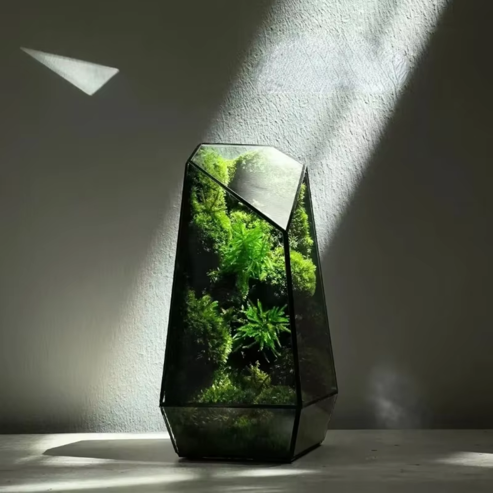 Moderny - Wholesale Terrarium - Moss Prism Terrarium4